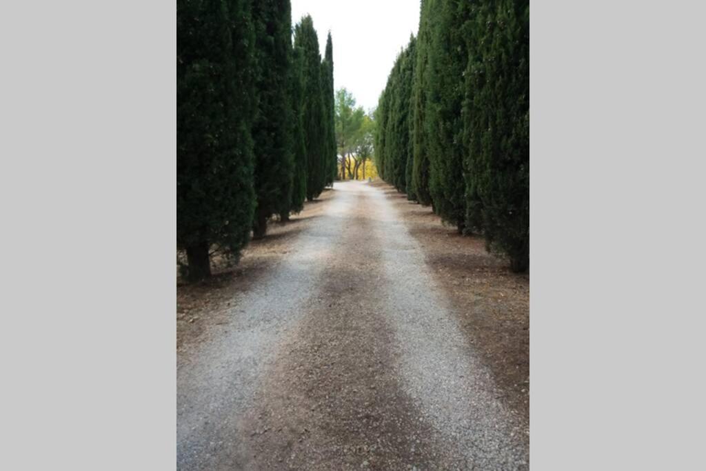 Bastide Au Milieu Des Vignes Et Des Oliviers Aups Villa Exterior photo