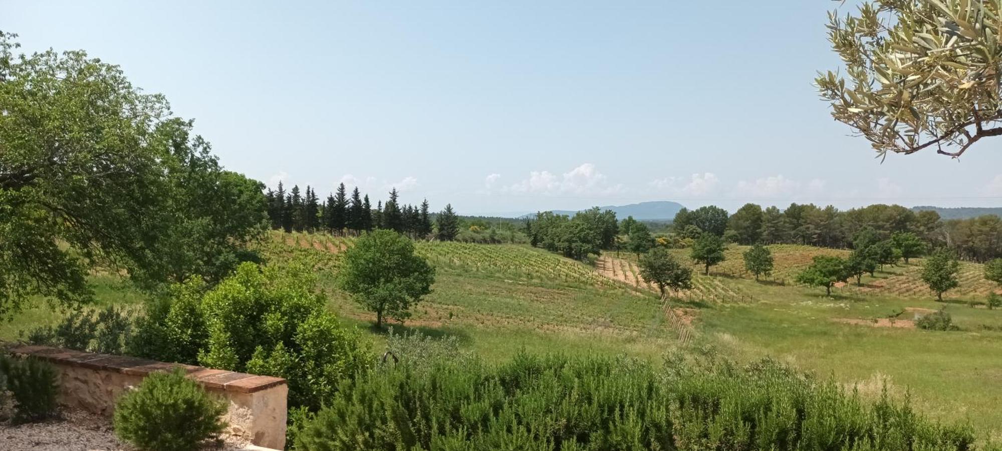 Bastide Au Milieu Des Vignes Et Des Oliviers Aups Villa Exterior photo